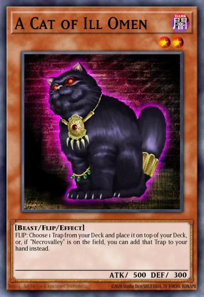 A Cat of Ill Omen Common DR1-EN018 Dark Revelation Volume 1 Yugioh card