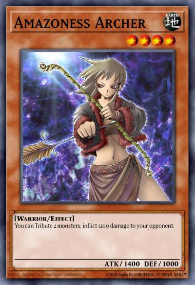 Amazoness Archer Common DB1-EN233 Dark Beginning 1 Yugioh card