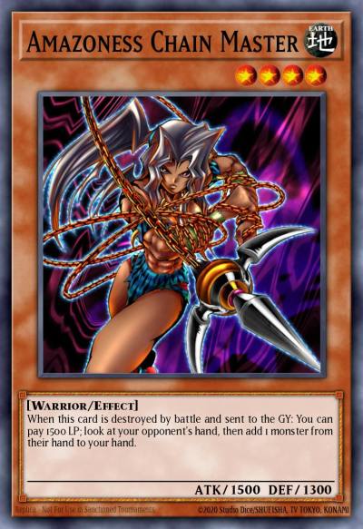 Amazoness Chain Master Rare DLG1-EN098 Dark Legends Yugioh card