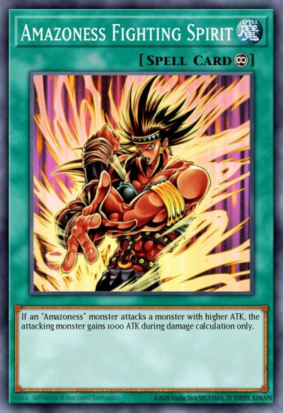 Amazoness Fighting Spirit Common DREV-EN054 Duelist Revolution Yugioh card