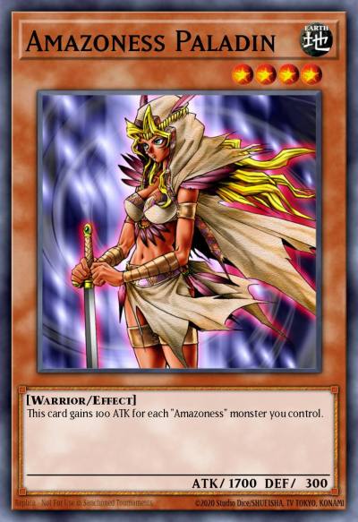 Amazoness Paladin Common DR1-EN114 Dark Revelation Volume 1 Yugioh card