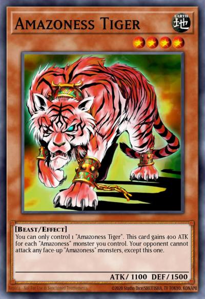 Amazoness Tiger Common DR1-EN118 Dark Revelation Volume 1 Yugioh card