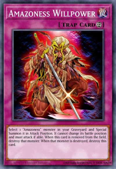 Amazoness Willpower Rare DREV-EN072 Duelist Revolution Yugioh card