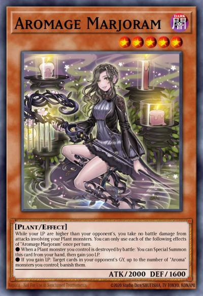 Aromage Marjoram Common CHIM-EN018 Chaos Impact Yugioh card