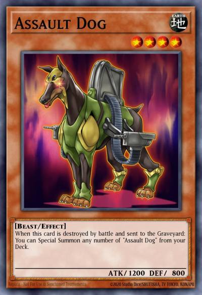 Assault Dog Super Rare DRLG-EN033 Dragons of Legend Yugioh card