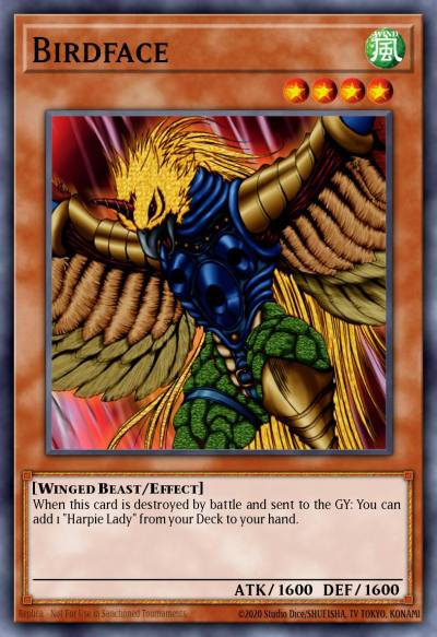 Birdface Common DB2-EN208 Dark Beginning 2 Yugioh card