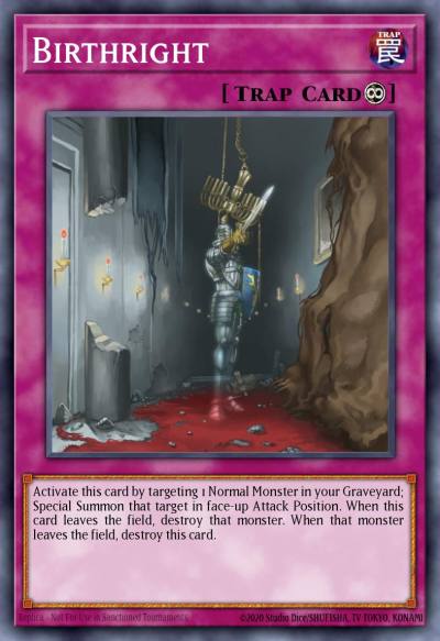 Birthright Common SBC1-ENG18 Speed Duel Streets of Battle City Yugioh card