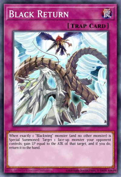 Black Return Super Rare DP11-EN030 Duelist Pack Crow Yugioh card