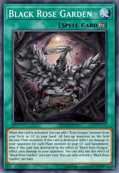 Black Rose Garden Starlight Rare DOOD-EN055 Doom of Dimensions Yugioh card