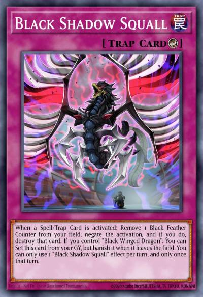 Black Shadow Squall Common MP23-EN208 25th Anniversary Tin Dueling Heroes Mega Pack Yugioh card