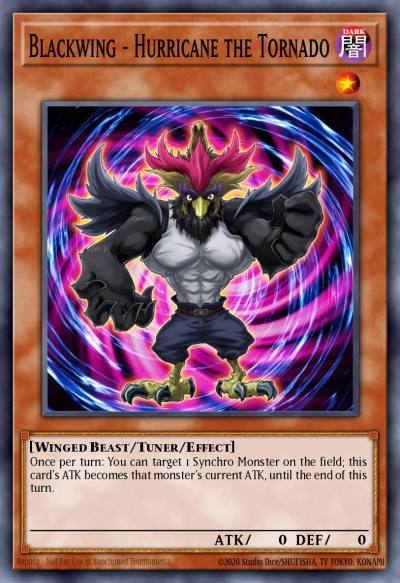 Blackwing - Hurricane the Tornado Super Rare DRLG-EN029 Dragons of Legend Yugioh card