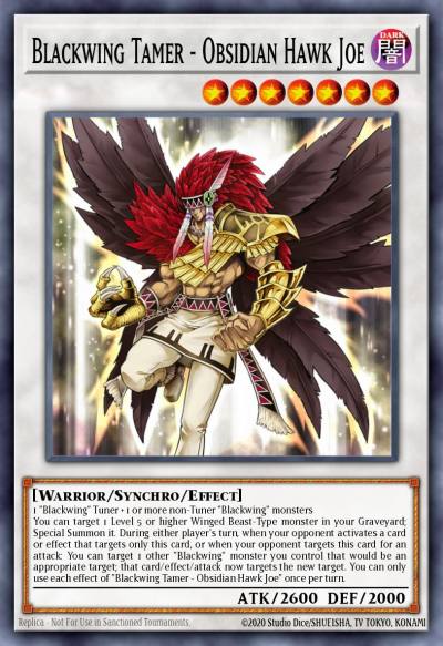 Blackwing Tamer - Obsidian Hawk Joe Common LDS2-EN042 Legendary Duelists Season 2 Yugioh card