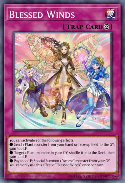 Blessed Winds Rare CHIM-EN074 Chaos Impact Yugioh card