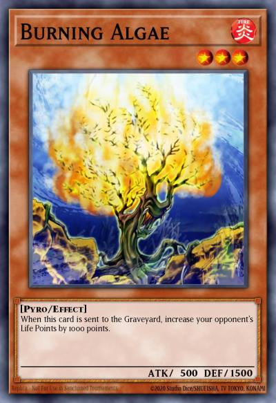 Burning Algae Common DR2-EN063 Dark Revelation Volume 2 Yugioh card