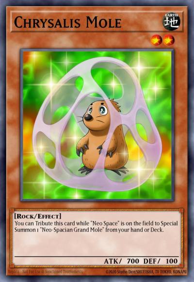 Chrysalis Mole Common TAEV-EN011 Tactical Evolution Yugioh card