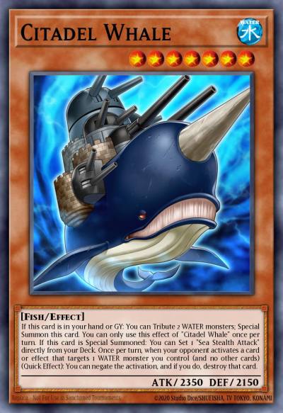 Citadel Whale Ultra Rare LEDU-EN016 Legendary Duelists Yugioh card