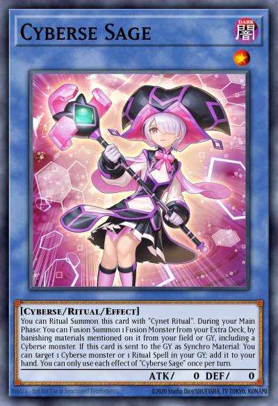 Cyberse Sage Common CYAC-EN033 Cyberstorm Access Yugioh card