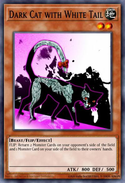 Dark Cat with White Tail Common DR1-EN138 Dark Revelation Volume 1 Yugioh card