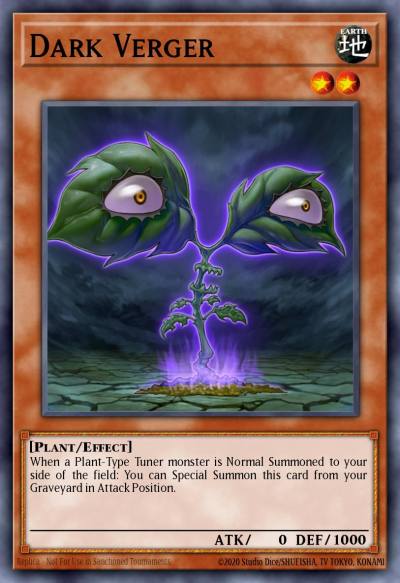 Dark Verger Common LC5D-EN087 Legendary Collection 5Ds Mega Pack Yugioh card