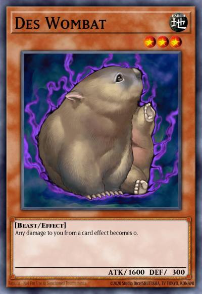 Des Wombat Common DR3-EN211 Dark Revelation Volume 3 Yugioh card