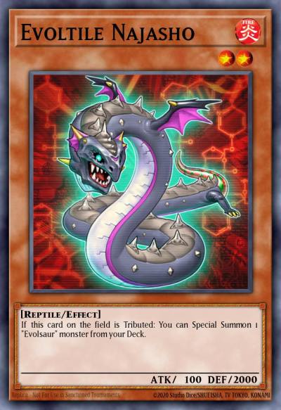Evoltile Najasho Super Rare ORCS-EN083 Order of Chaos Yugioh card