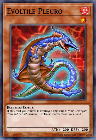 Evoltile Pleuro Common ORCS-EN025 Order of Chaos Yugioh card