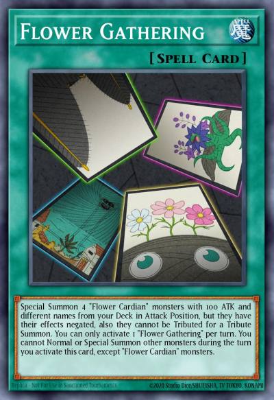 Flower Gathering Common DLCS-EN136 Dragons of Legend The Complete Series Yugioh card