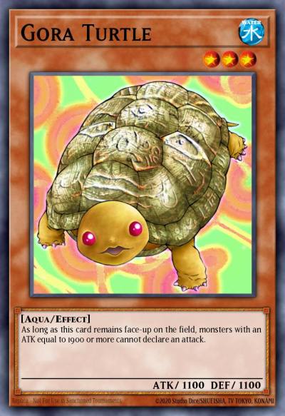 Gora Turtle Common DB2-EN215 Dark Beginning 2 Yugioh card