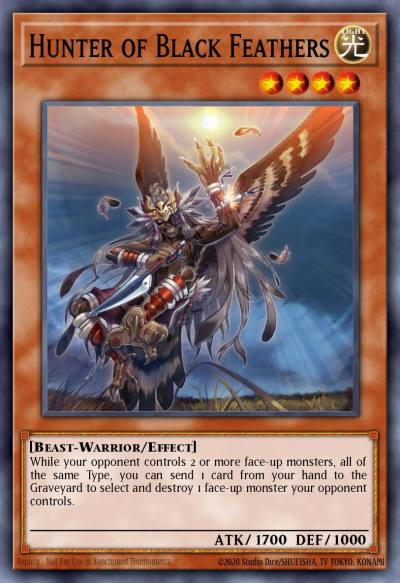 Hunter of Black Feathers Short Print TSHD-EN038 The Shining Darkness Yugioh card