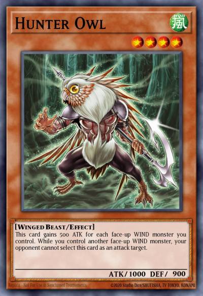 Hunter Owl Common SDDL-EN013 Dragunity Legion Structure Deck Yugioh card