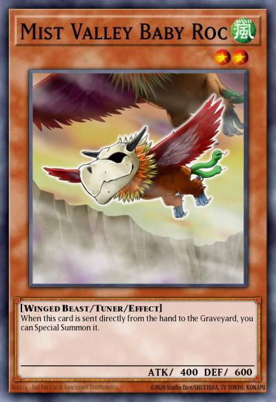 Mist Valley Baby Roc Duel Terminal Normal Parallel Rare DT02-EN019 Duel Terminal 2 Yugioh card
