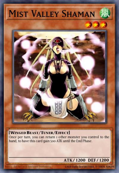 Mist Valley Shaman Duel Terminal Super Parallel Rare DT01-EN014 Duel Terminal 1 Yugioh card