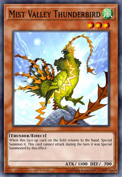 Mist Valley Thunderbird Duel Terminal Normal Parallel Rare DT01-EN013 Duel Terminal 1 Yugioh card