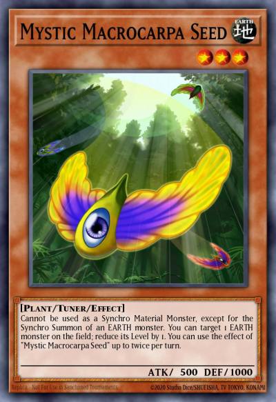 Mystic Macrocarpa Seed Common LVAL-EN035 Legacy of the Valiant Yugioh card