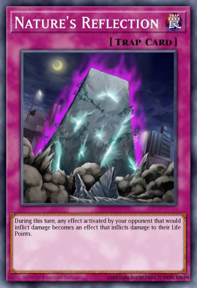 Natures Reflection Common ABPF-EN065 Absolute Powerforce Yugioh card
