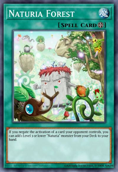 Naturia Forest Common DREV-EN051 Duelist Revolution Yugioh card
