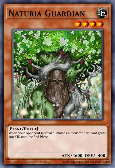 Naturia Guardian Duel Terminal Super Parallel Rare DT02-EN009 Duel Terminal 2 Yugioh card