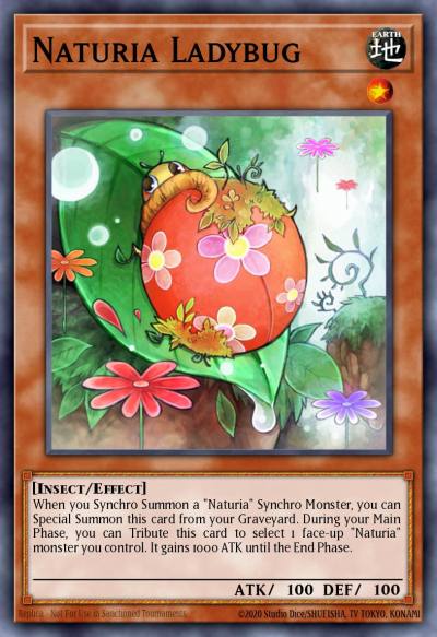 Naturia Ladybug Duel Terminal Normal Parallel Rare DT04-EN030 Duel Terminal 4 Yugioh card