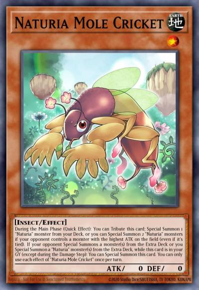 Naturia Mole Cricket Super Rare MP23-EN170 25th Anniversary Tin Dueling Heroes Mega Pack Yugioh card