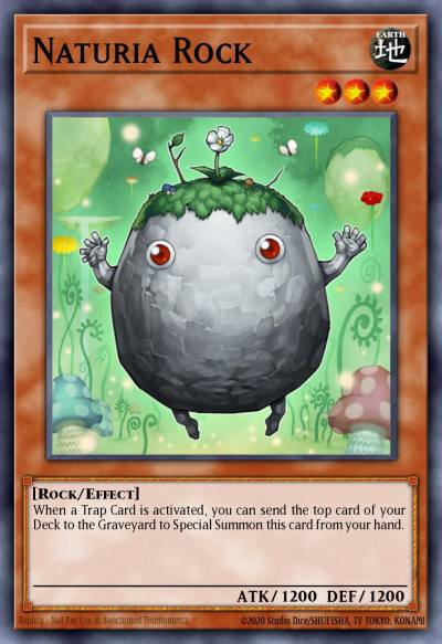 Naturia Rock Duel Terminal Normal Parallel Rare DT02-EN008 Duel Terminal 2 Yugioh card