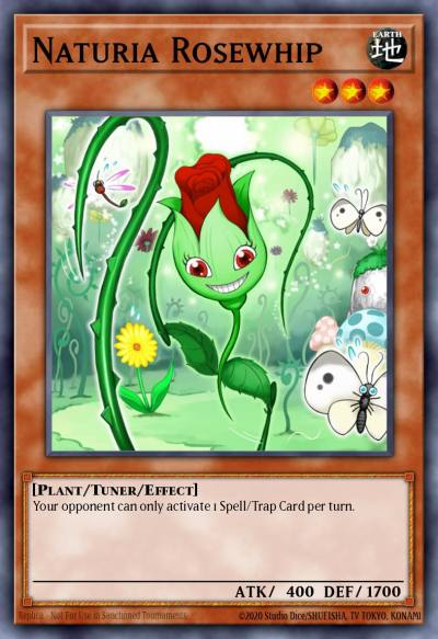 Naturia Rosewhip Duel Terminal Rare Parallel Rare DT02-EN071 Duel Terminal 2 Yugioh card