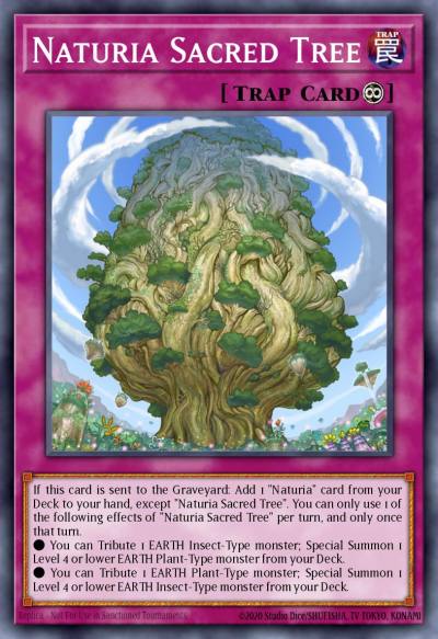 Naturia Sacred Tree Common OP20-EN025 OTS Tournament Pack 20 Yugioh card