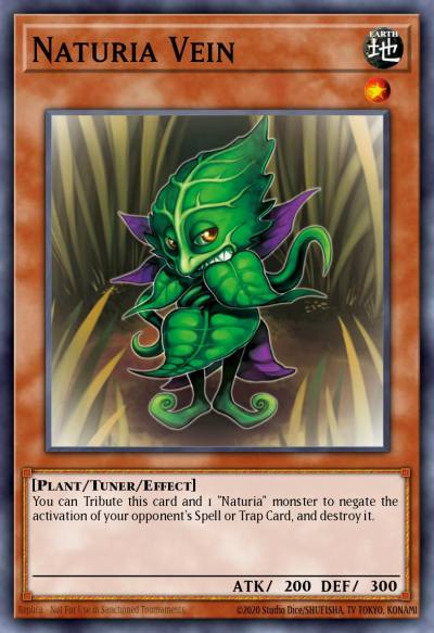 Naturia Vein Duel Terminal Normal Parallel Rare DT02-EN010 Duel Terminal 2 Yugioh card