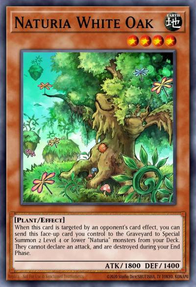 Naturia White Oak Duel Terminal Super Parallel Rare DT04-EN081 Duel Terminal 4 Yugioh card