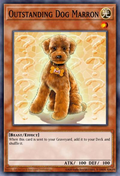 Outstanding Dog Marron Short Print DCR-062 Dark Crisis Yugioh card