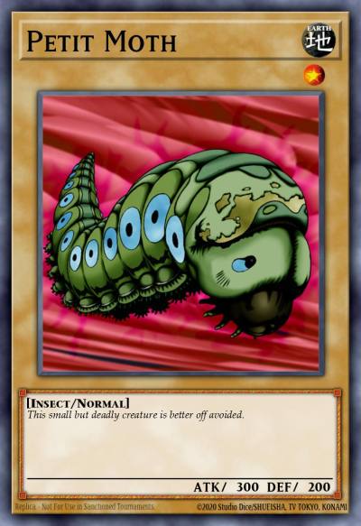 Petit Moth Common DB1-EN155 Dark Beginning 1 Yugioh card