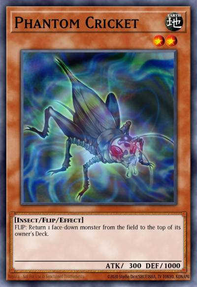 Phantom Cricket Common TAEV-EN030 Tactical Evolution Yugioh card