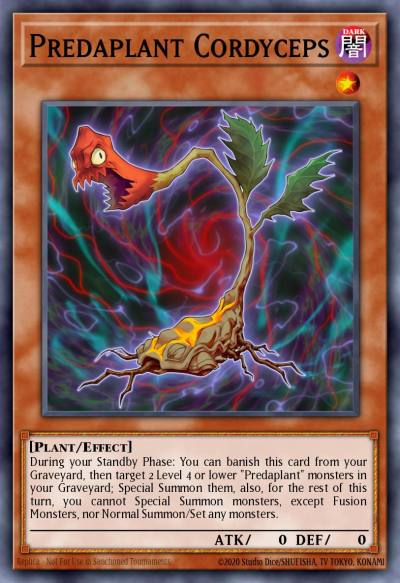 Predaplant Cordyceps Common MACR-EN011 Maximum Crisis Yugioh card
