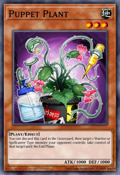 Puppet Plant Common OP24-EN016 OTS Tournament Pack 24 Yugioh card