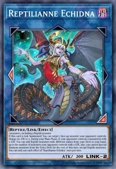 Reptilianne Echidna Ultra Rare DUOV-EN016 Duel Overload Yugioh card